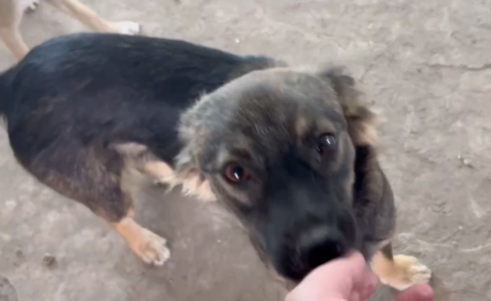 � ����� ������� ���������� ������� �������� ������ �������� ��� �������� �����