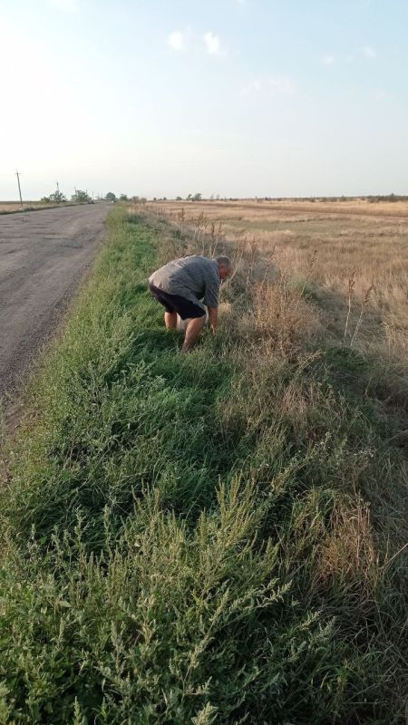 � ����� ����������� ������ ������� ������ ������ �����