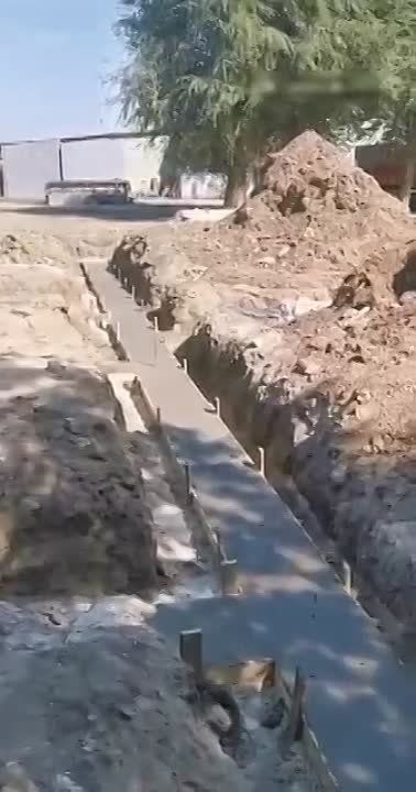 ��������� �� ���������-�������� �������� ����� ��� � ���� ����������