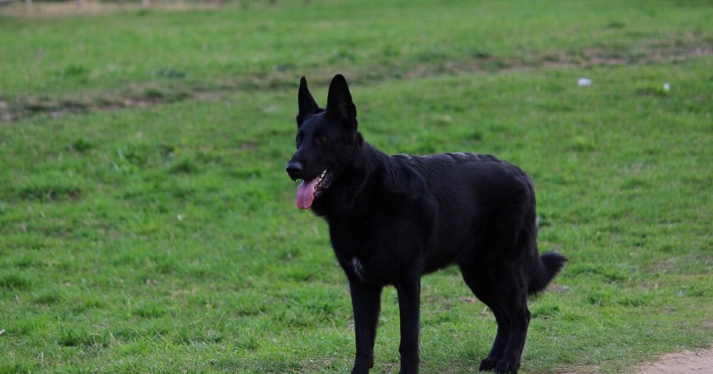 ������������ ����� ��� ��������� �������� �������� � ������������� ��������� ������