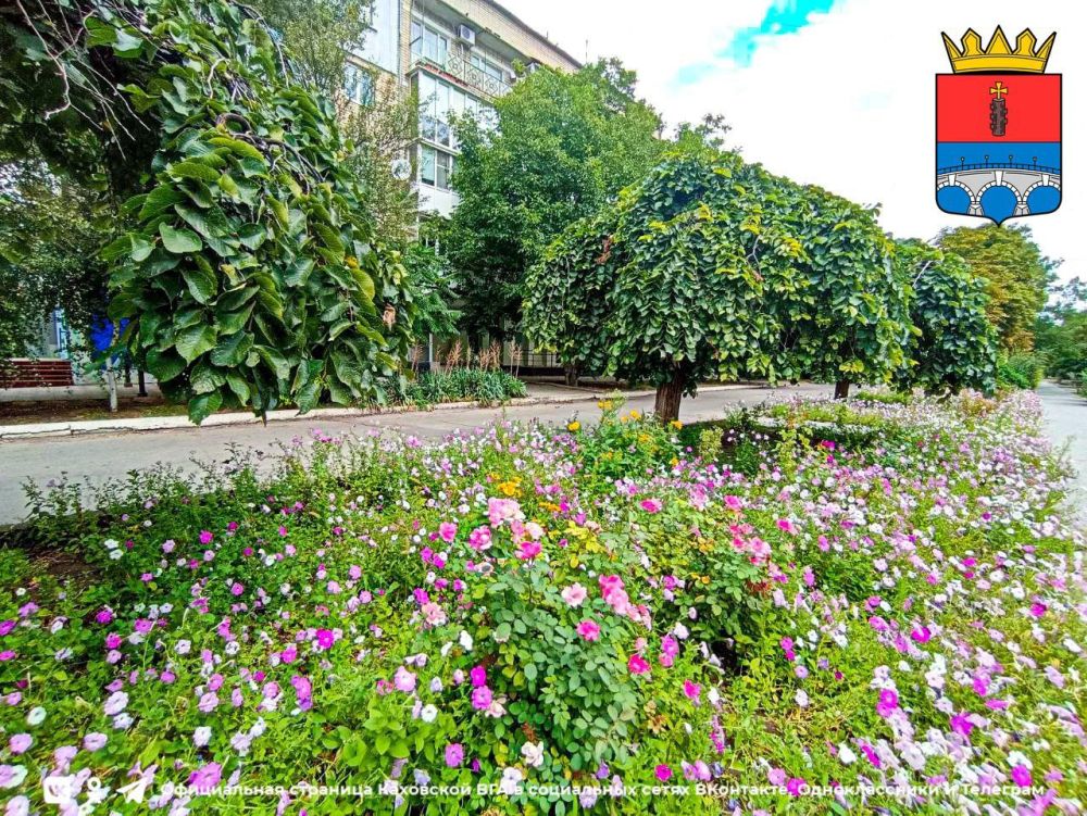 � ������ �����, �������!