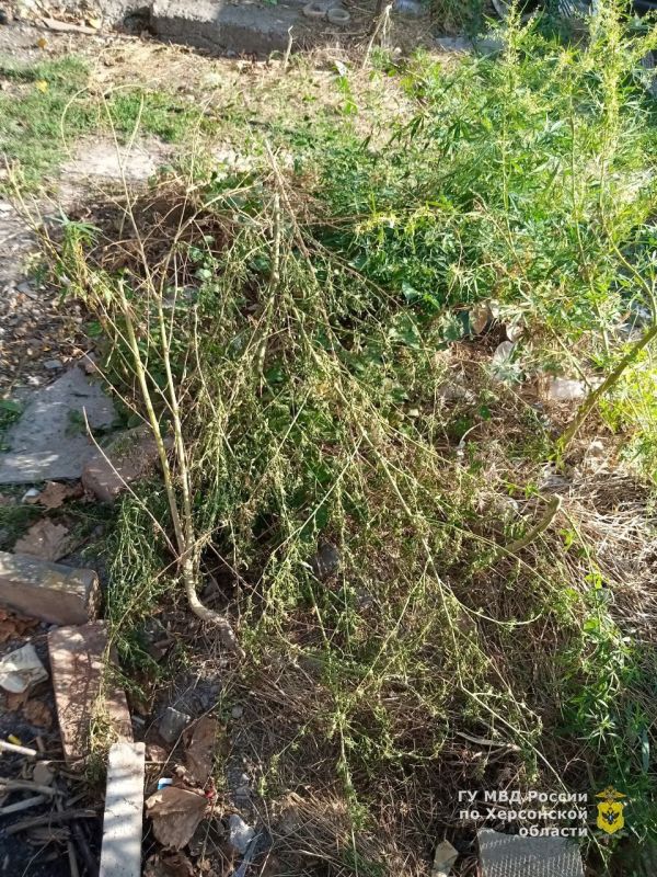 � ���� � ������ ������� ����������� ������� ��������� � ����� �������