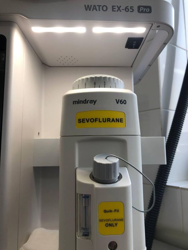 ������������ ������������ ������ ������ �� ���������-�������� � ��� ���������