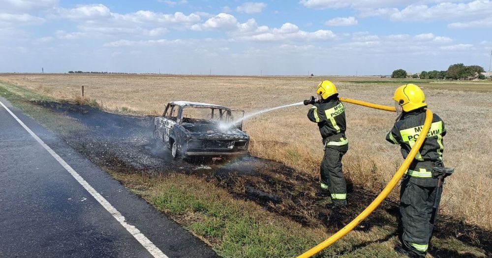 � ���������� ���� ���������� ���������