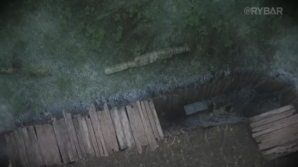 �������� �� ������� 149.200, ������� "�����" � ������� ���� �����