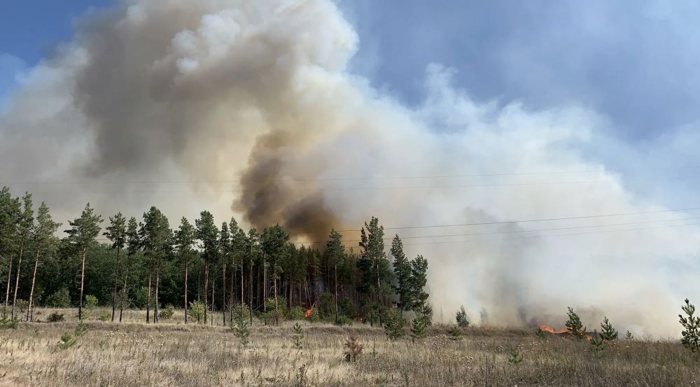 ��� �� ����� ��������� 98 �������� �� ����������� �����������