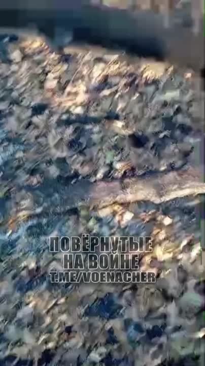 ���� ����� �� ��� ������� ���� ������� ����� 82 ������� ��� � ��������, � ��� ����� ����� 14 �������, ������� ������, ��� ������� � ����� ����, � ��� ���