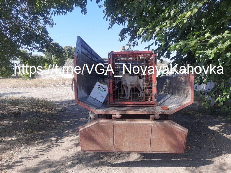 � ������������� ��������� ������ �������� ������ � ������������ � ���������� ������� ����� ��� ��������� ��������