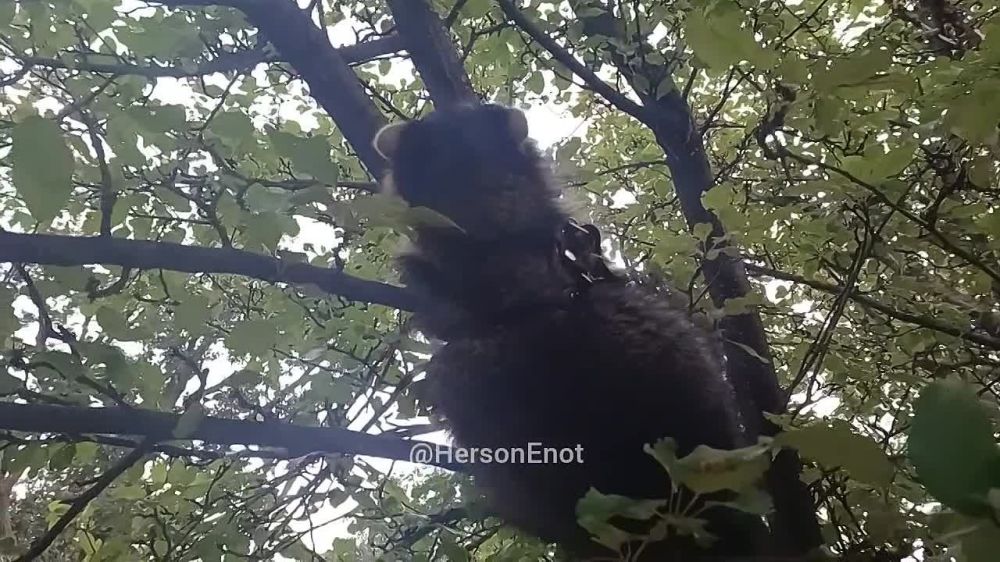 ���� �� �������: ������� ���, ������! �� ������ ������ �� �����, �� ������� ���. ��� ������ ��������