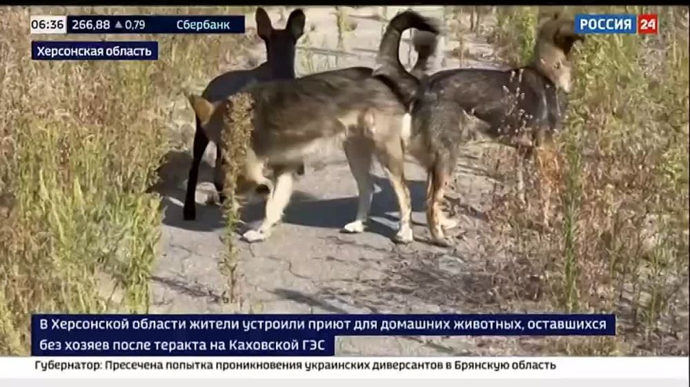 � ������������� ��������� ������ �������� ������ � ������������ � ���������� ������� ����� ��� ��������� ��������