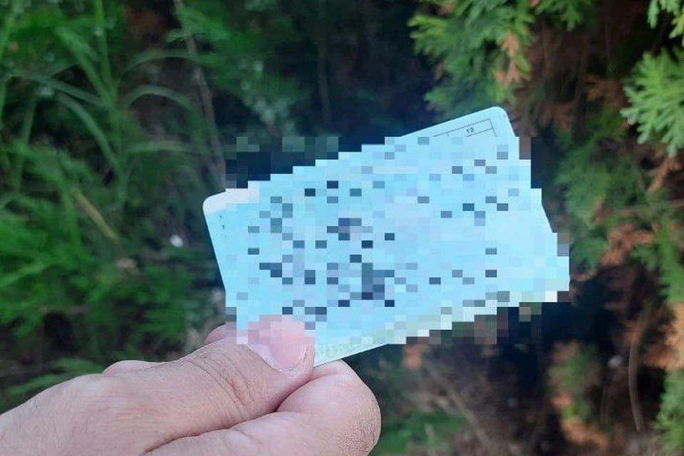 � ���������� ������� � 20-������� �������� Lexus ������ ������� ���������