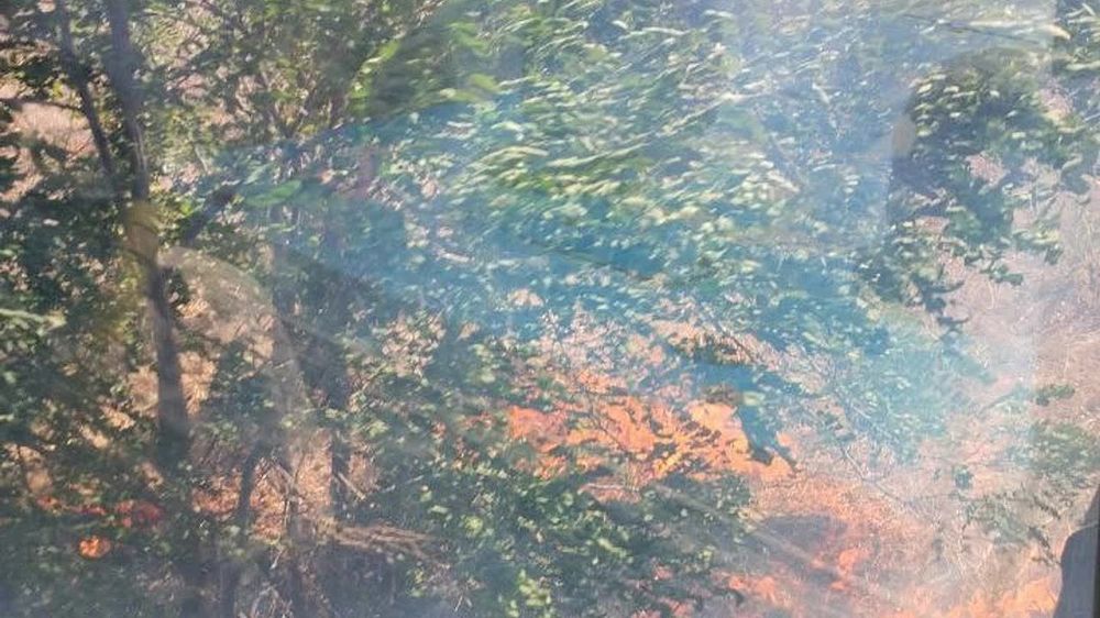 �� �������� �������� ������� �����