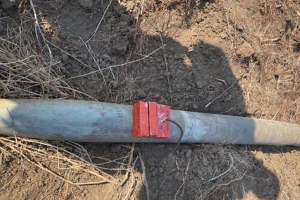 ��� ��������� ������������ ������� ���������� ������ ���� �����