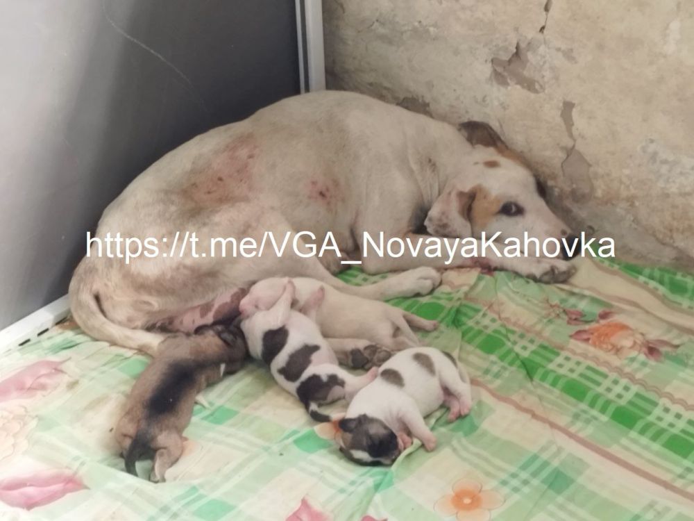 � ������������� ��������� ������ �������� ������ ����� ��� ��������� ��������