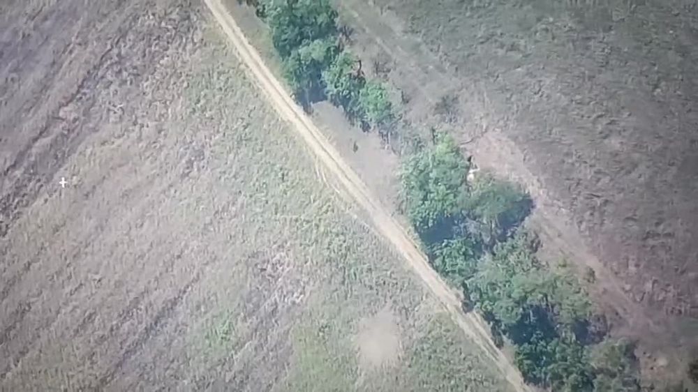 ����������� "�����", ���������� �����������