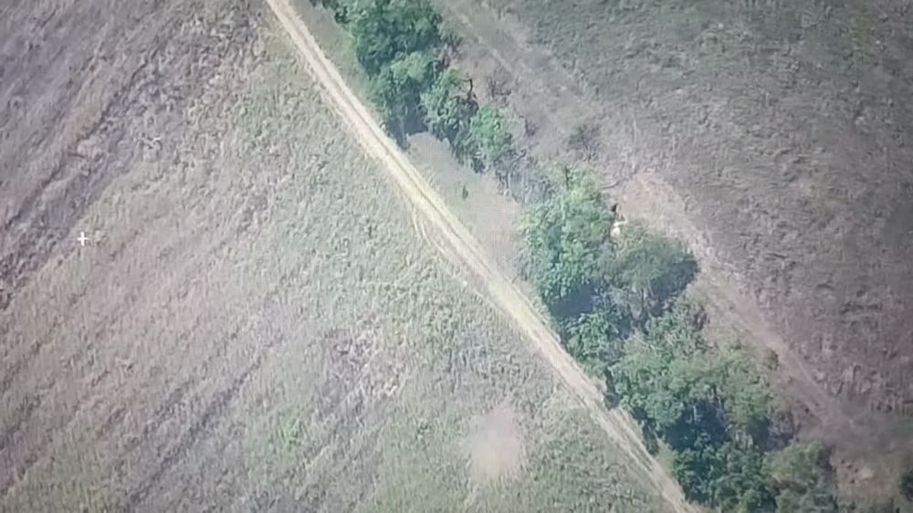 ����������� "�����", ���������� �����������