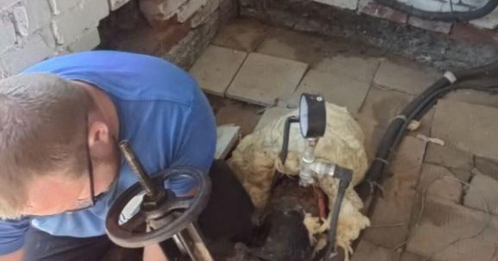 ��������� ����������� ��������������� ������������� � ���������� ������