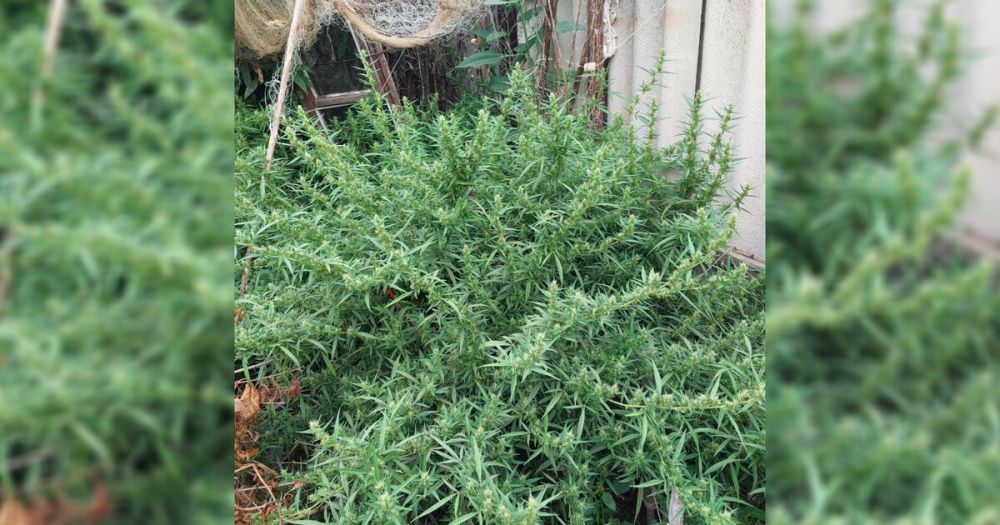 ������ ��������� ��������� �� ������� ������ ���������