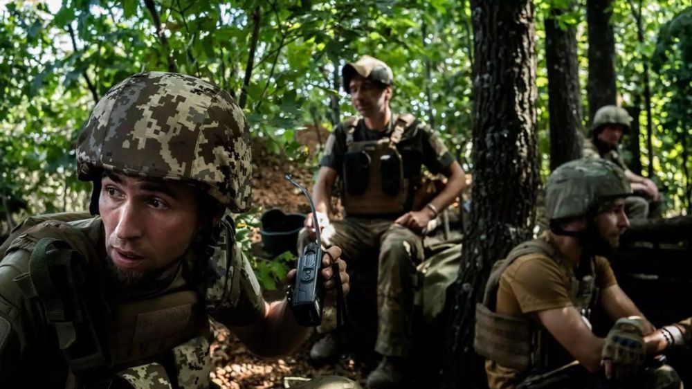 ������� ������ � �������: ����������� "�����" ������ ��� �� ����������