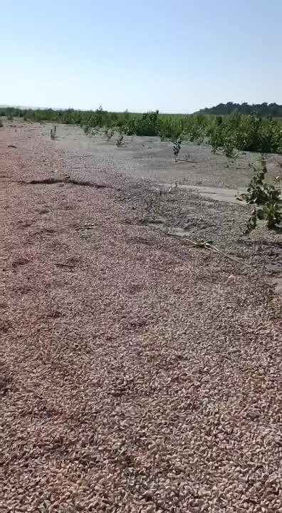 ����� "���������� �������������"