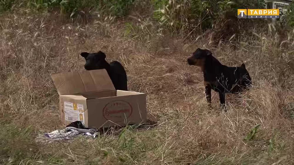 � ������������� ������ ������������� ����� ��� ��������� ��������