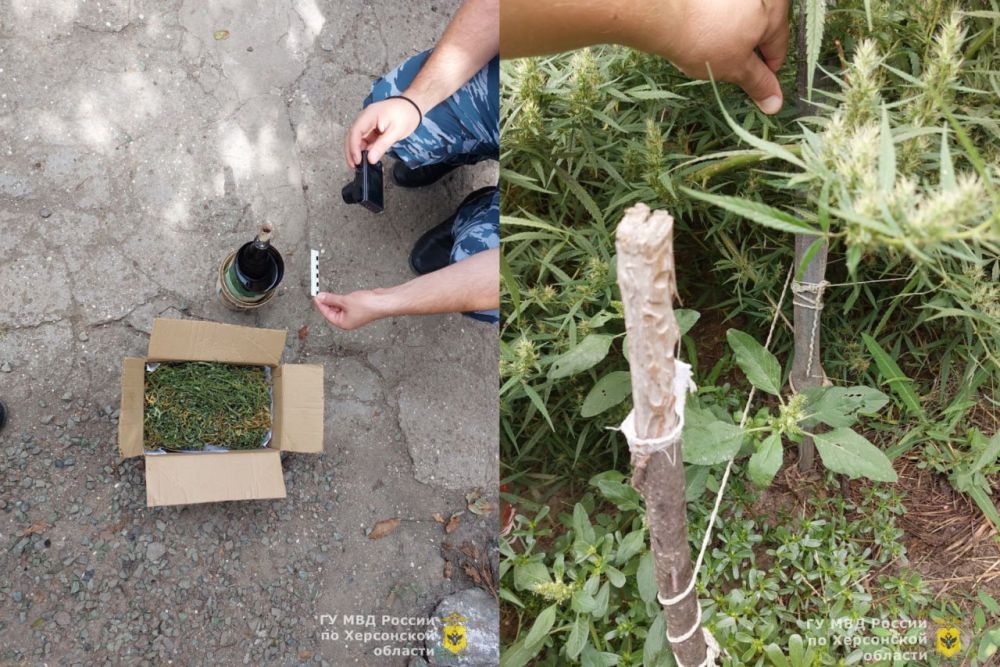 ��������� � ������� ��������������� ���������� � ������ ���������