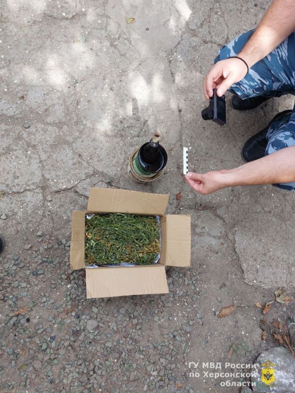 � ���� ������ ��������� ����������� ������� ������� � ���������