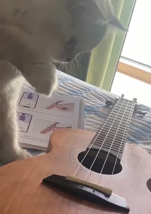 �������� ���������� ���. ���� ���, �� ���������� ��������� ��� ����, ��������� ����� ��� ������