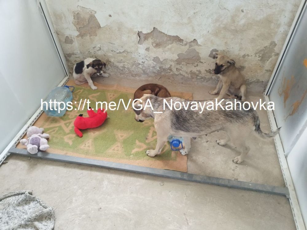 ������ ��������� ������ �������� � ������ ������ ��� �������� � ����� �������