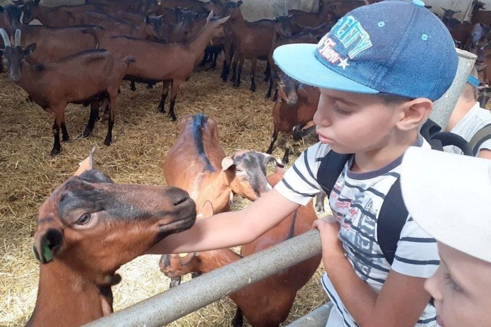 ���� �� ���������� �������� �� ������ ����� � ����������