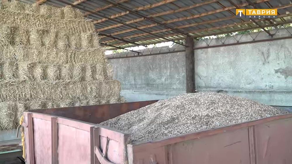 � ���������� ������� ���������� ��������� ������ �� ������ �������� ���������������������