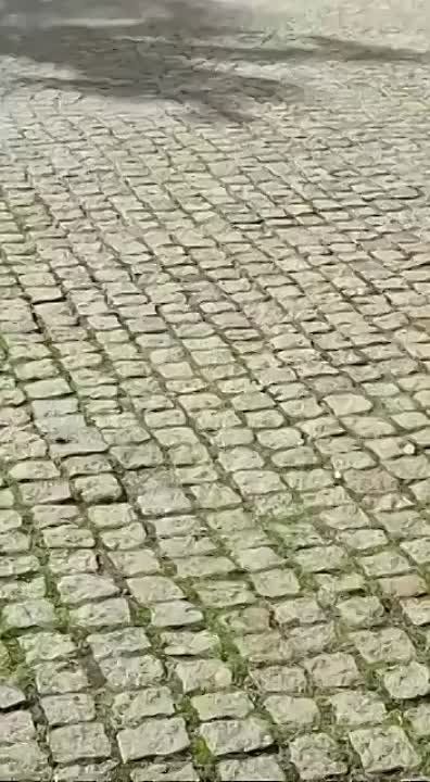 � ������� �� ����� ������� ���� ���������� �������