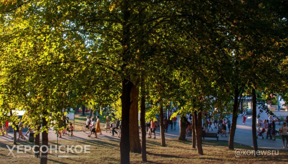 ������ ������� 8 �������� �������� ����