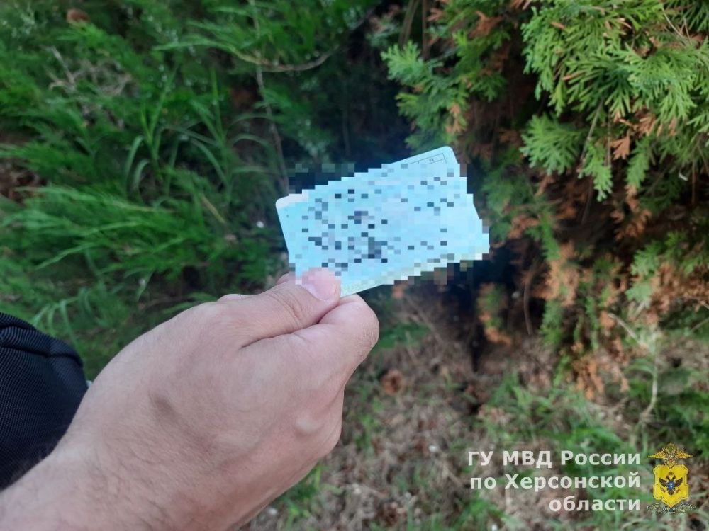 � ������ ������� ������ ���������� ������������� � ����������� ����