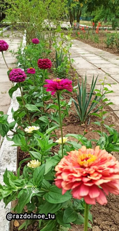 ������ ����, ����������!!!