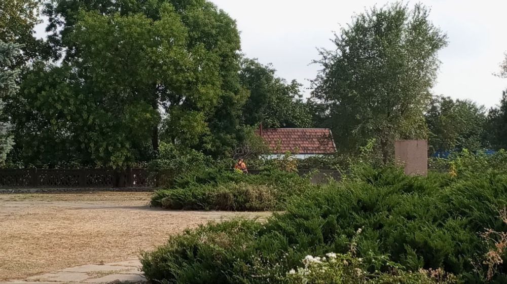 � ������ �����, �����������!