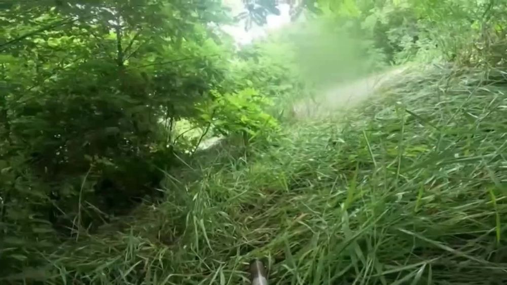 ������� ������� ������ ������ ������� ��� � ������� � ������������ ��������