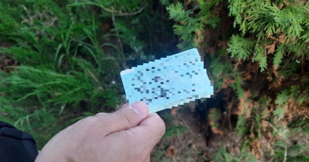 � ���������� ������ �������� ��� ������ � ����������� ������������� �����������