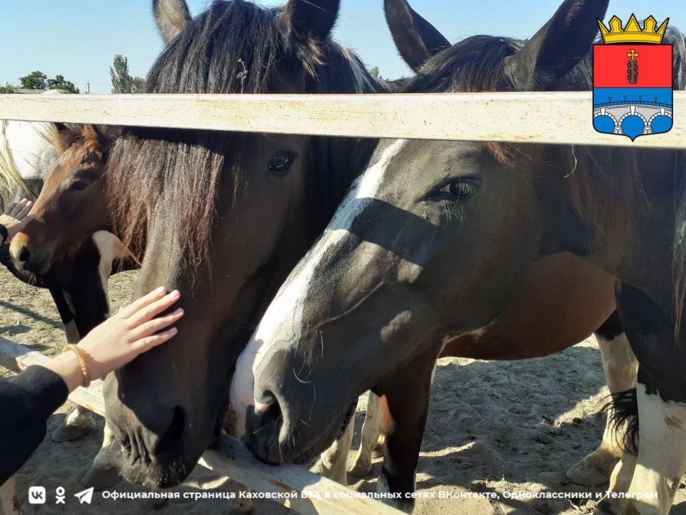 ������� ������������ ����� �������� � ���������� �� �������������������� ����������� ������������