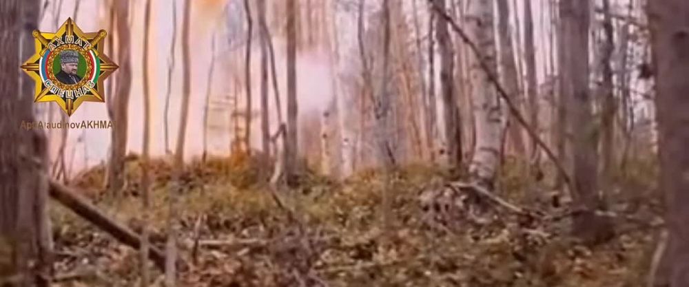 ���� ��������� �����һ