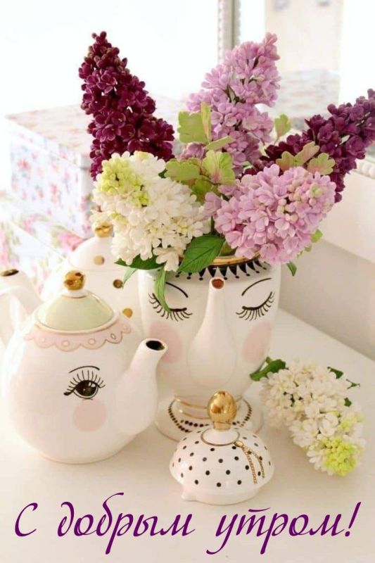 ������ ����. ������� � ������� ���� ���� ����� ��������� ����� ������. ��� �������. ����������� �� +10 ����� �� +24 ����