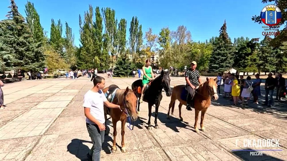 ������ ������ � �������� �������: ���������� ��������� ������� �� ��� ������ � ����� ����������� �� ������