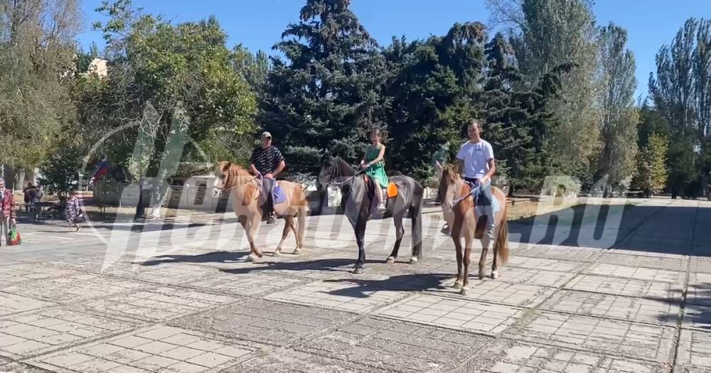 � ��������� ������� �������� ���������� ������ �� ������