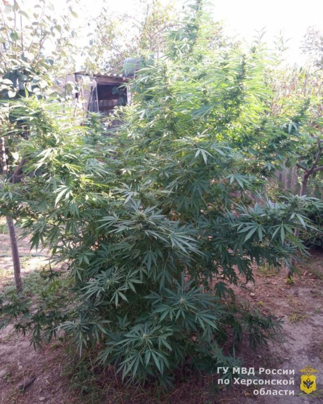 ����������� ���������� ������ ������� ���� ����������� ��������������� �������