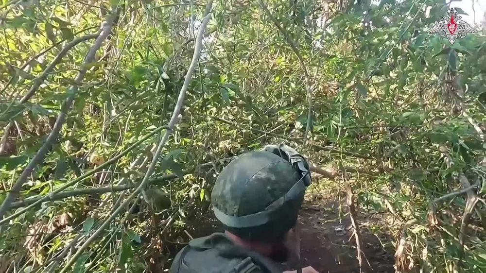 ���������� ������ ������ ������������� ����������� ������ �� ��������� �������� � ����������� ������ ������� ������