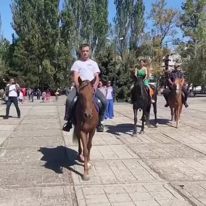 ������: ���������� ��������� ������� �� ��� ������ � ����� ����������� �� ������