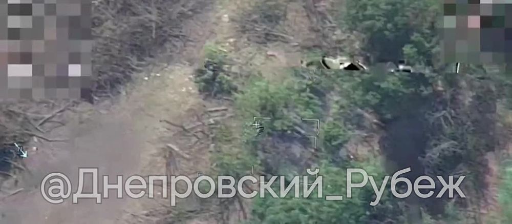 ���� ����� ���������� ������������ ������� �� ������ ������