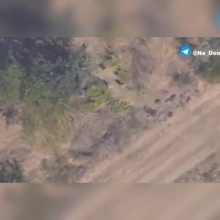 ������ �������: ���������� �����������, ����������� ������� �777 � ������� ��������