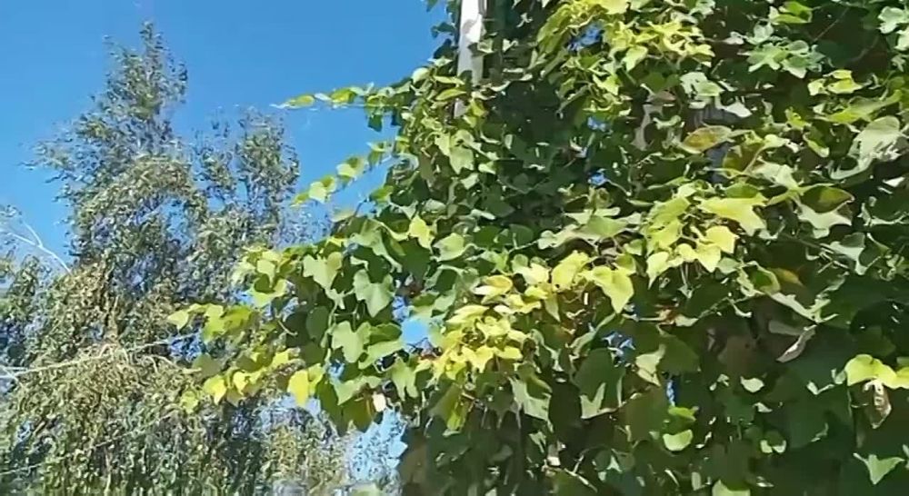 ��� ������ ����������. �� ������ �����, ��� ����� �� ����� �������, �������� � ��������� � �����. �� � Za ��� �� ���� ����� � ��������� ���������, ������ ��������� ����������� ��������� ����