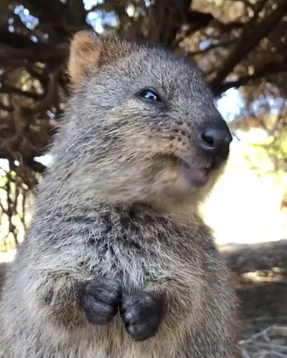 � ������ �����, �����������!